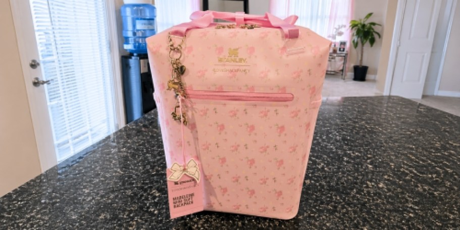 RARE Savings on Stanley x LoveShackFancy Coolers + Free Shipping