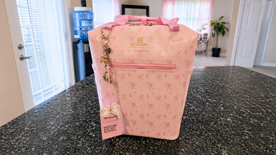 RARE Savings on Stanley x LoveShackFancy Coolers + Free Shipping