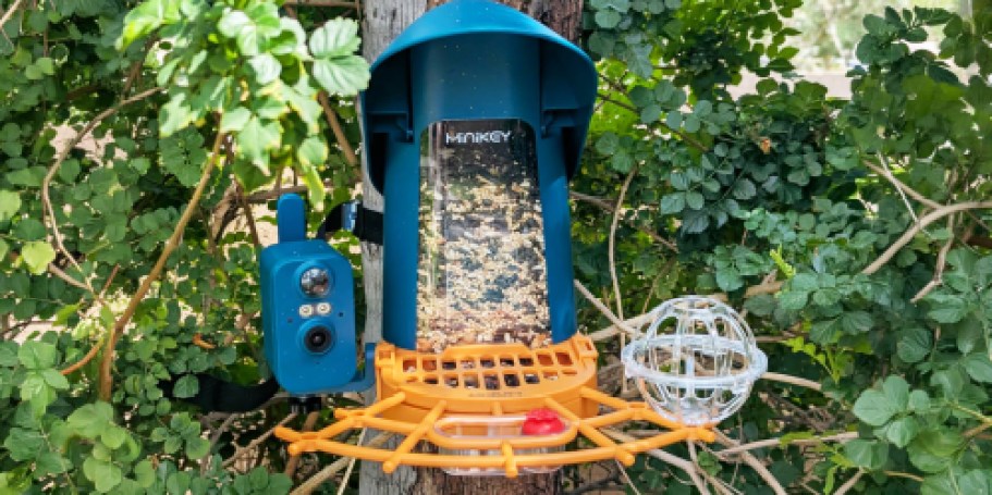 Solar-Powered Smart Bird Feeder Only $29.80 Shipped on Amazon (Reg. $100)