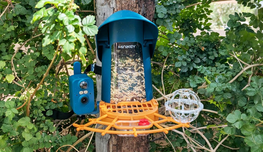Solar-Powered Smart Bird Feeder Only $29.80 Shipped on Amazon (Reg. $100)