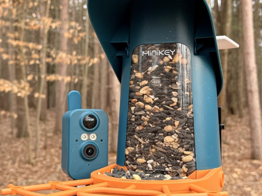 smart birdfeeder attached to tree