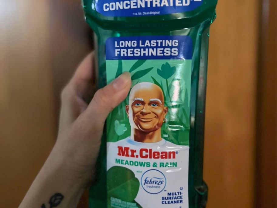 hand holding mr clean meadows