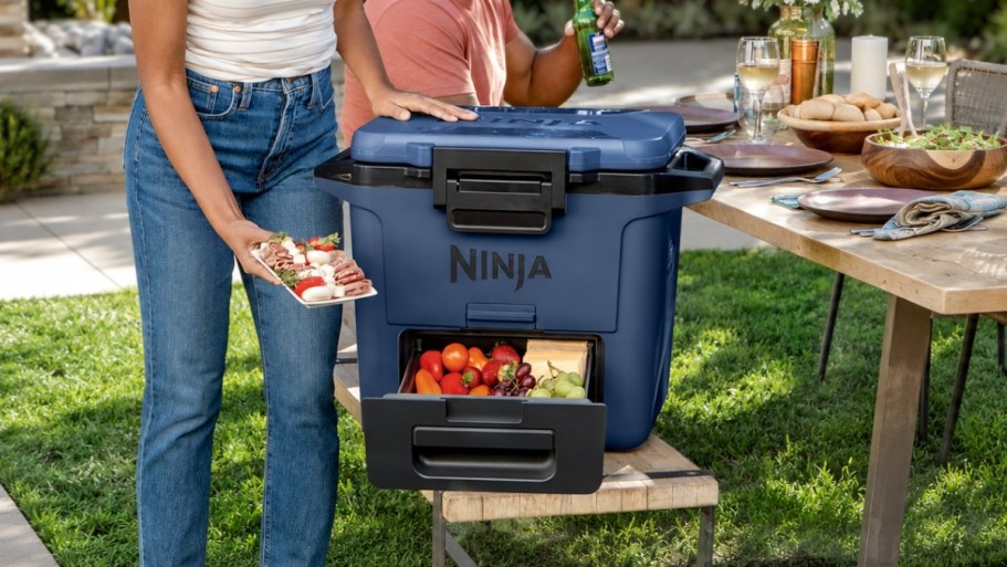 Ninja FrostVault 30-Qt Cooler w/ DryZone Just $149 Shipped on Amazon