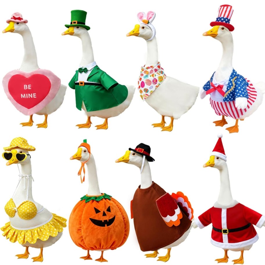 8 porch geese in seasonal and holiday outfits