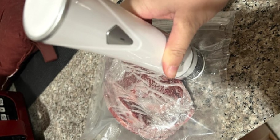 Handheld Vacuum Sealer Just $15.99 Shipped on Amazon (Reg. $60)
