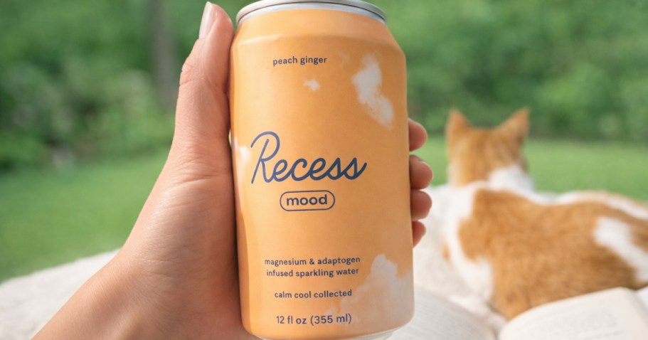 Recess Mood Calming Drink Variety 12-Pack Just $18.61 Shipped on Amazon (Reg. $38)