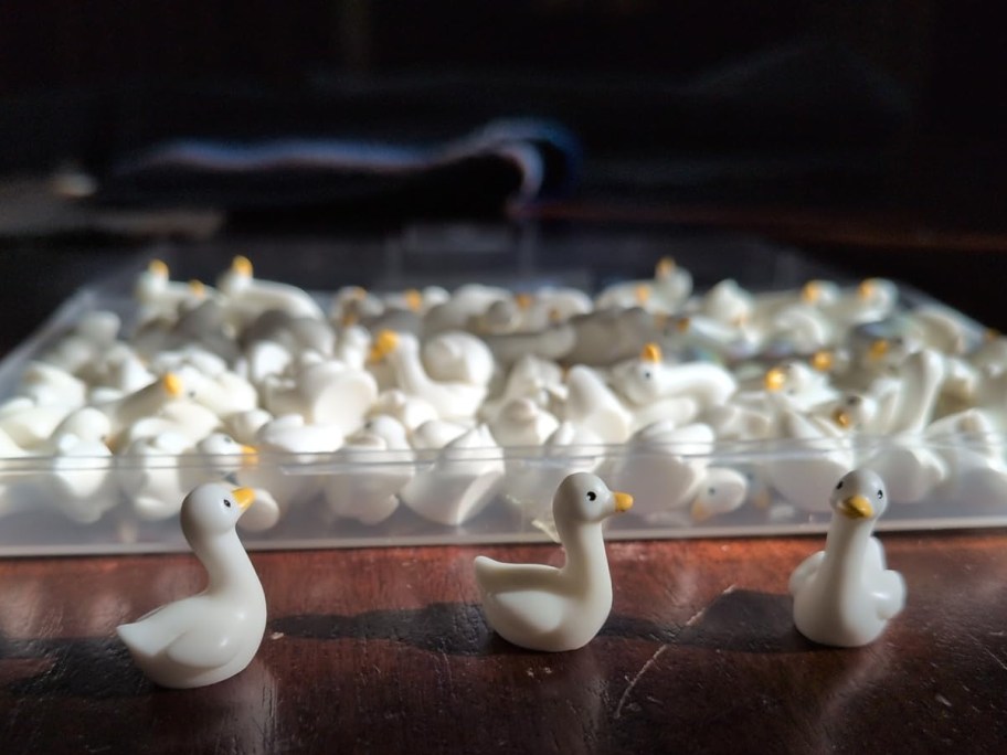 set of mini geese in plastic box