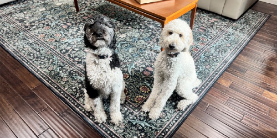 RARE Savings on Ruggable Machine-Washable Rugs + Free Shipping | Pup & Kid Approved!