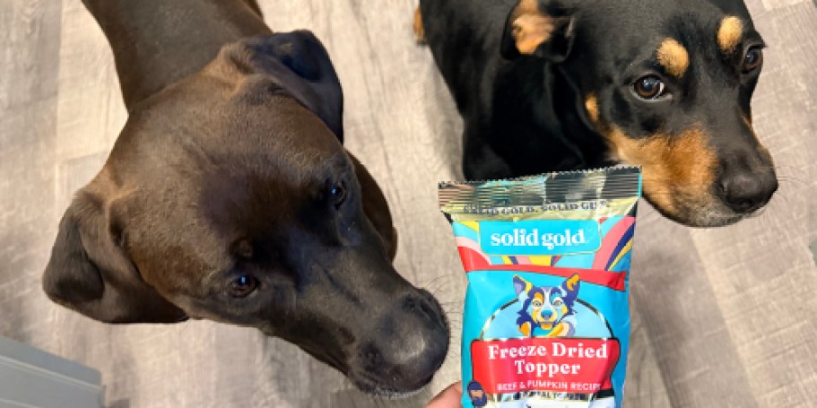 50% Off Solid Gold Dog Food Topper on Amazon