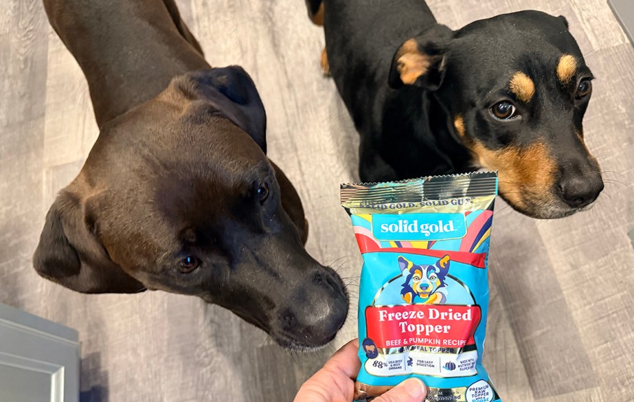 50% Off Solid Gold Dog Food Topper on Amazon