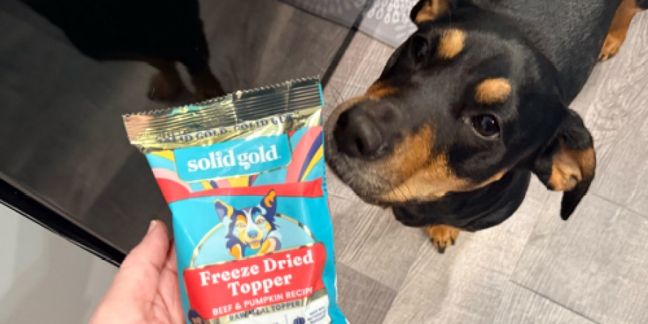 50% Off Solid Gold Dog Food Topper on Amazon