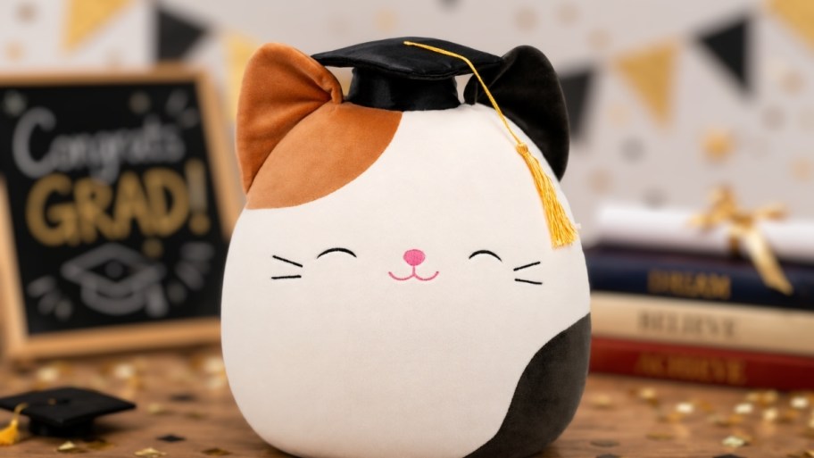 cat squishmallow in a graduation cap