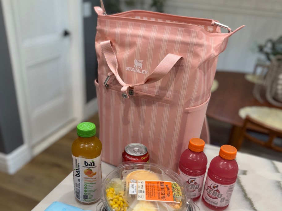 pink striped cooler backpack next to food