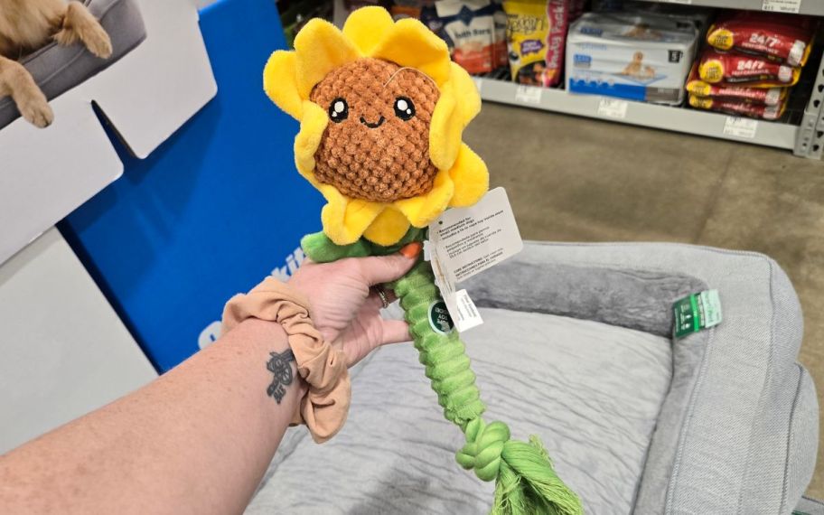 Sunflower dog toy