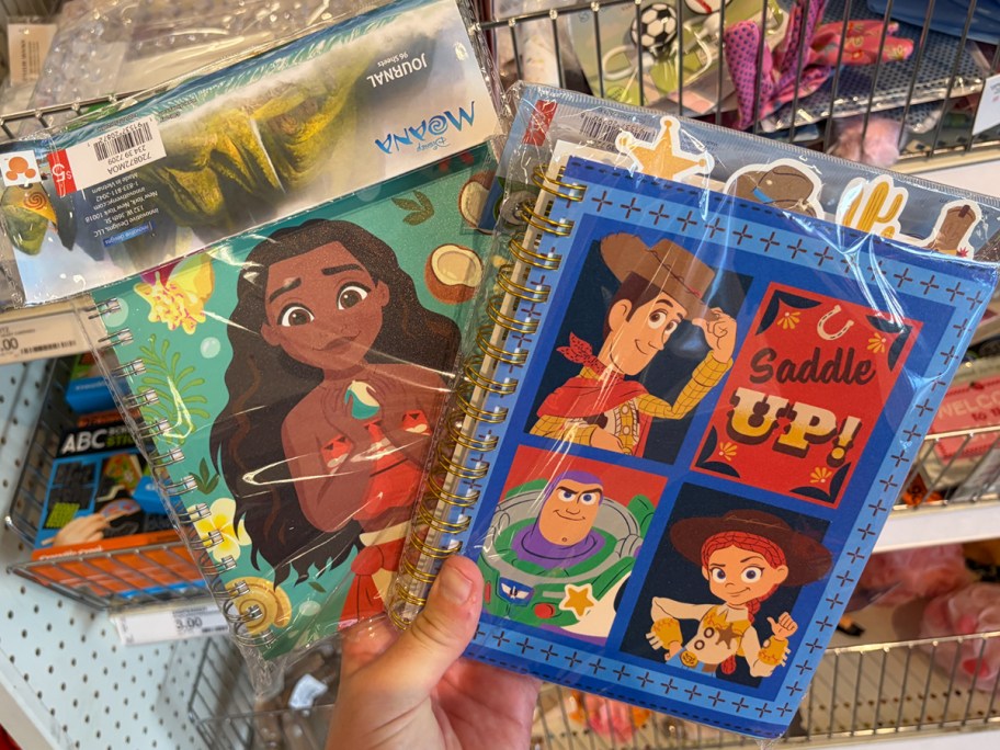 moana and toy story journals