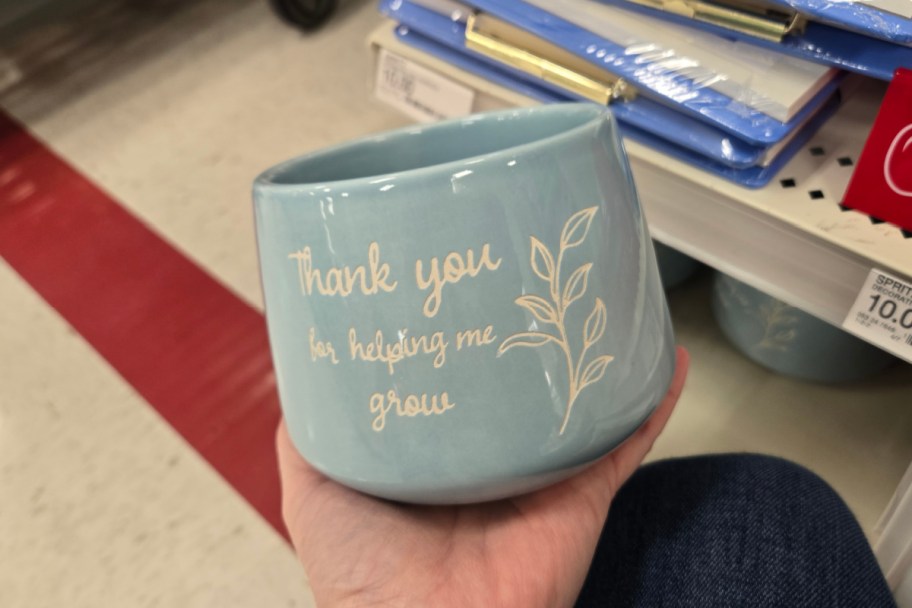 hand holding blue planter in store