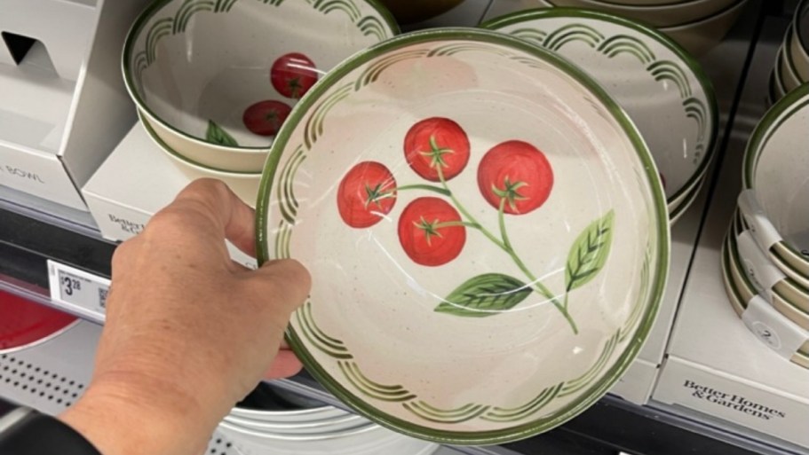 This Better Homes & Gardens Melamine Dinnerware is SO Cute & Only $2.48!
