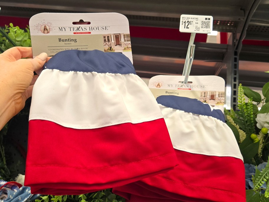 hand holding red white and blue bunting 