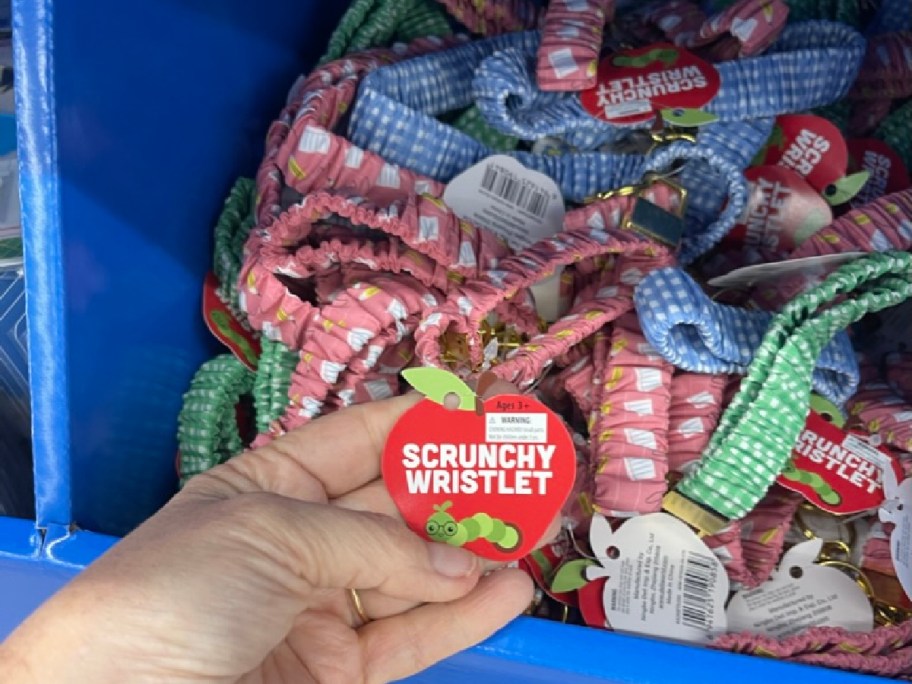 A hand holds an apple-shaped tag labeled &ldquo;Scrunchy Wristlet&rdquo; beside a bin filled with colorful patterned lanyards.