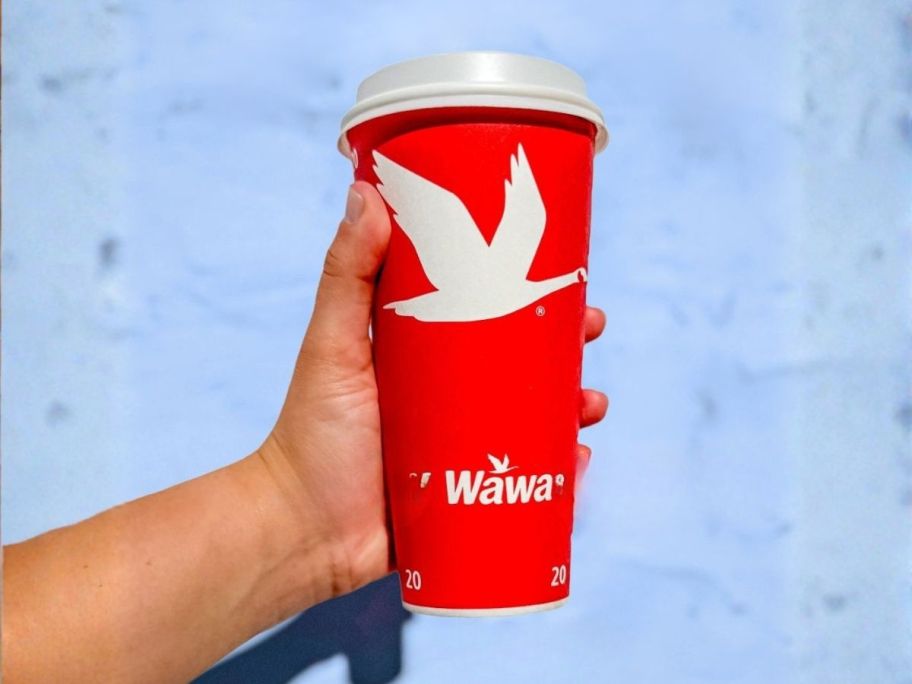 hand holding wawa hot coffee cup