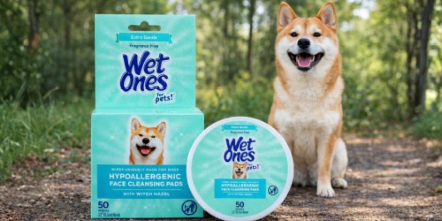 Wet Ones Pet Wipes 50-Count Just $1.93 Shipped on Amazon