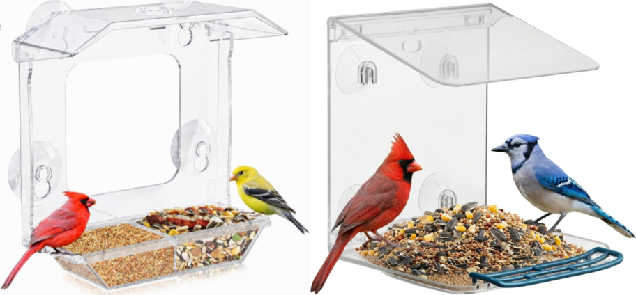 2 window bird feeders with birds
