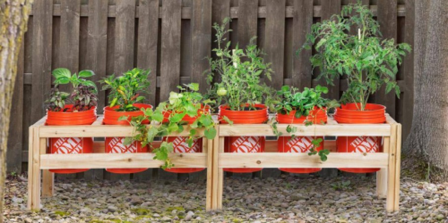 Home Depot Raised Garden Bed Frame Just $127 Shipped | Use With Any 5-Gallon Buckets!