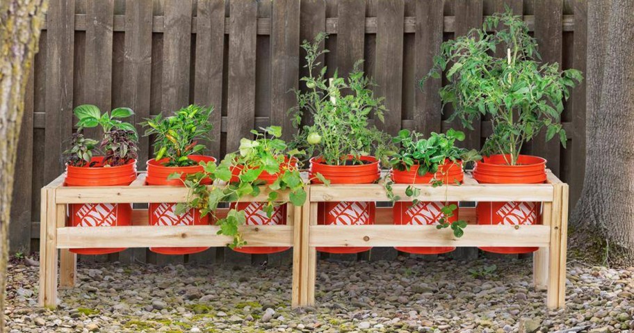 6-Bucket Natural Wood Cedar Elevated Garden Raised Bed Frame