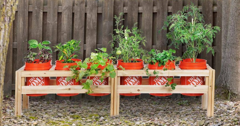 Home Depot Bucket Raised Garden Bed Frame Just $127 Shipped (Reg. $159) | Use With Any 5-Gallon Buckets!