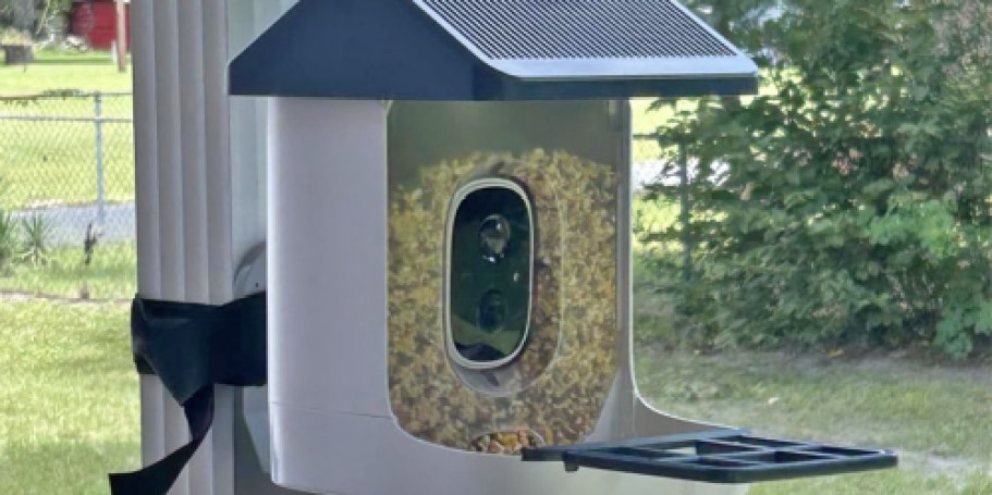 Smart Bird Feeder w/ Camera Just $29.99 Shipped on Amazon (Reg. $80)