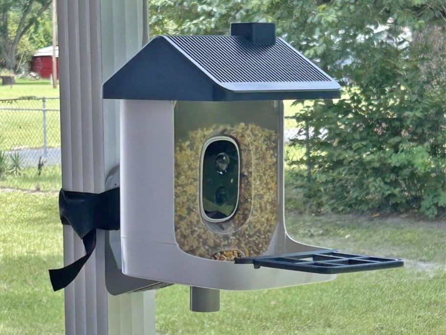 Smart Bird Feeder w/ Camera Just $29.99 Shipped on Amazon (Reg. $80)