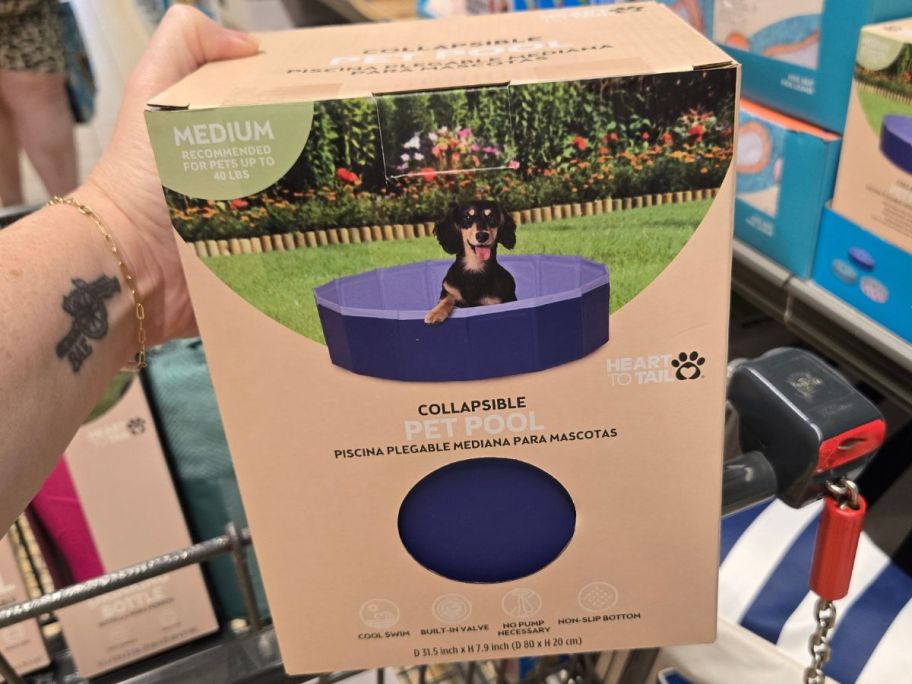 A Collapsible Pet Pool from ALDI