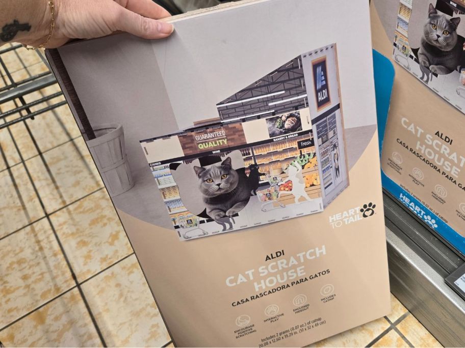 An Aldi Store Interior Cat Scratcher House