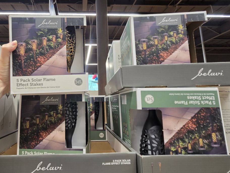 Solar Flame Pathlights at ALDI