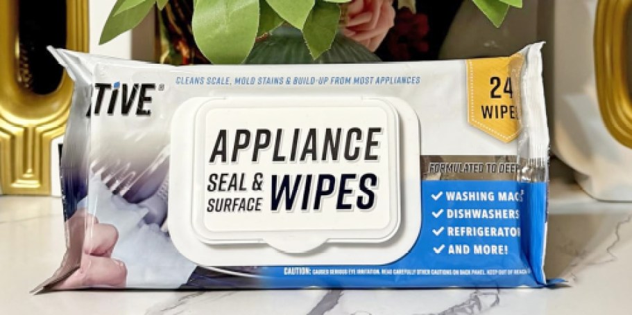 Active Appliance Wipes Just $8.89 Shipped on Amazon (Reg. $18)