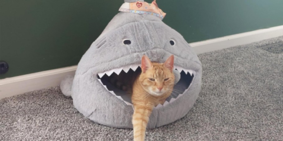 Over $55 Worth of Pet Supplies Just $25.46 Shipped for Prime Members