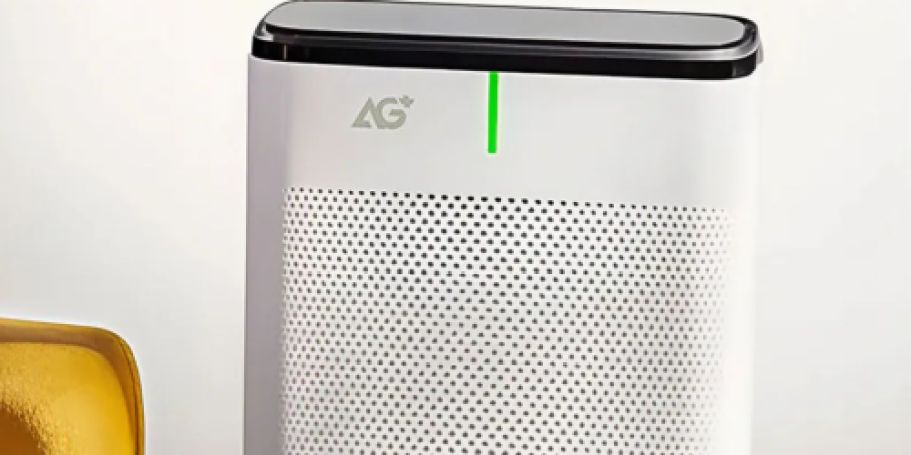 Up to 80% Off Air Purifiers & More Home Essentials on Lowe’s.com