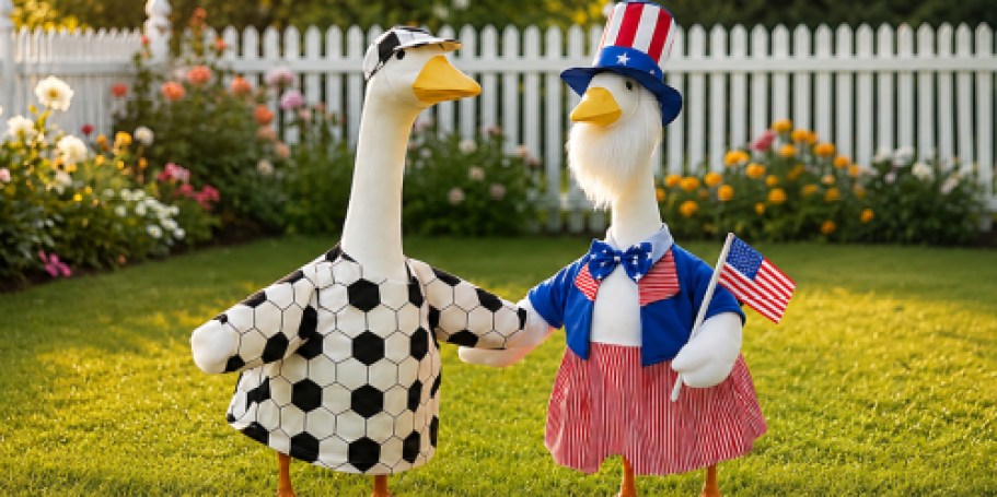 Porch Goose Outfit 2-Pack Only $9 Shipped for Amazon Prime Members (Reg. $26)