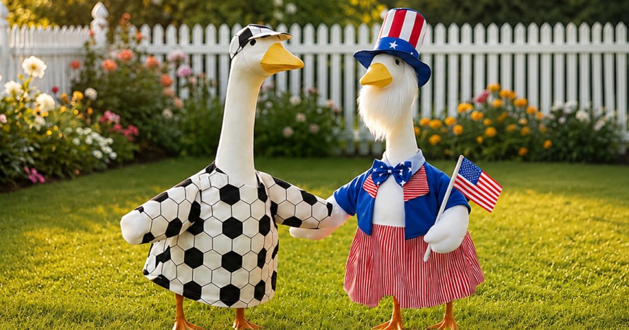 porch geese wearing soccer and patriotic outfits