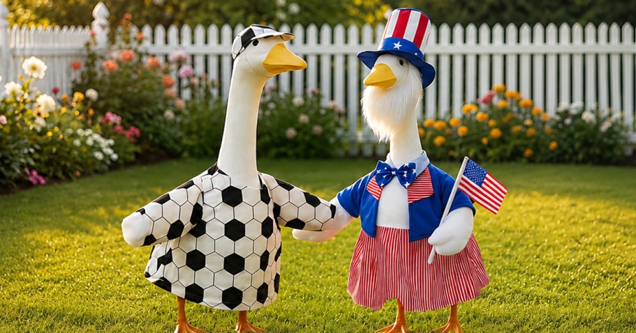 Porch Goose Outfit 2-Pack Only $9 Shipped for Amazon Prime Members (Reg. $26)
