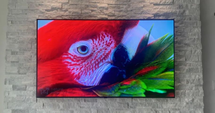An LG TV from Best Buy