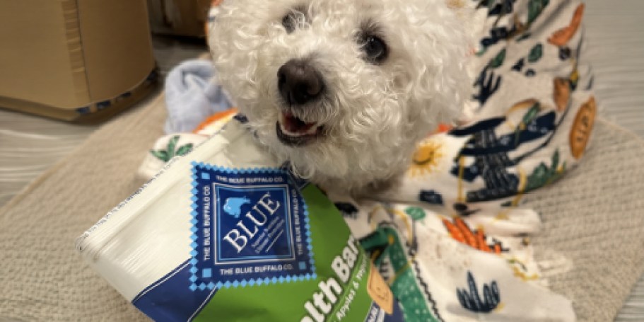 Blue Buffalo Dog Treats Only $2.99 Shipped on Amazon
