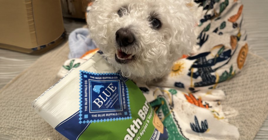 Blue Buffalo Dog Treats Only $2.99 Shipped on Amazon