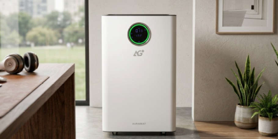 Lowe’s Daily Deals = 80% Off Air Purifier, Up to 50% Off House Plants + More