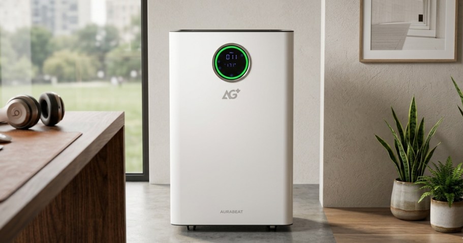 Lowe’s Daily Deals = 80% Off Air Purifier, Up to 50% Off House Plants + More