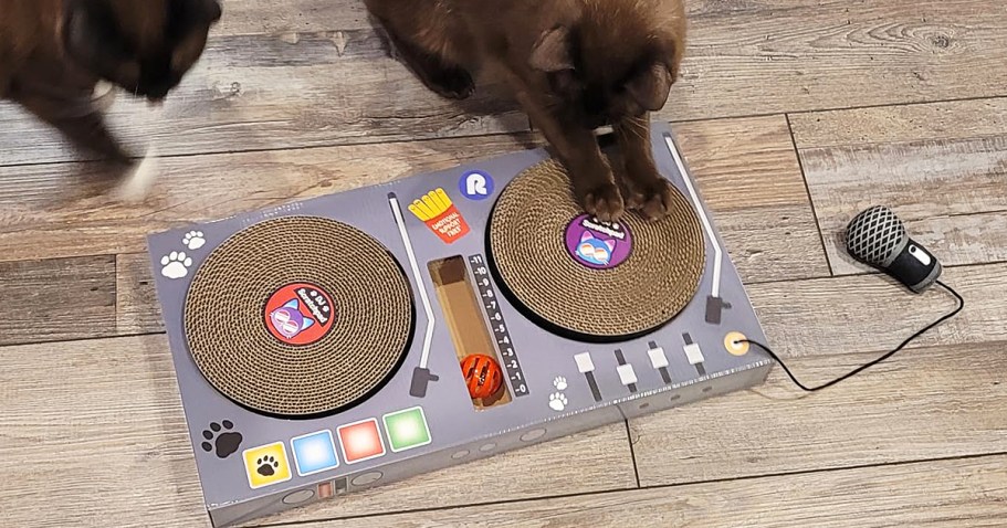 Cat DJ Scratchpad Just $15.99 on Amazon (Includes Ball & Microphone Toy)