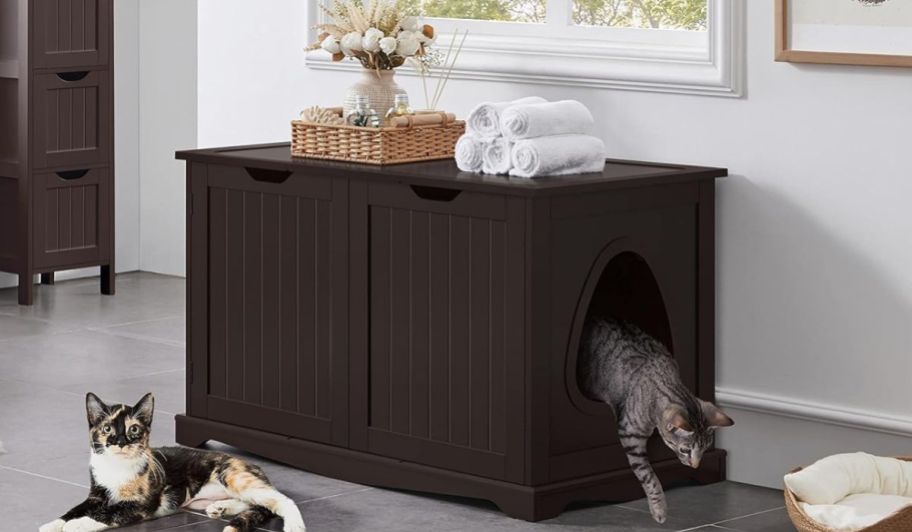Cat home in espresso