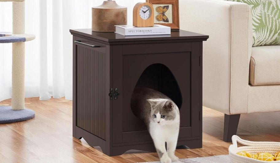 Cat home night stand