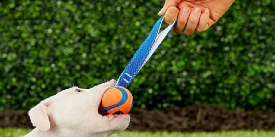 ChuckIt Dog Toys from $4.64 Shipped on Amazon (Reg. $10)