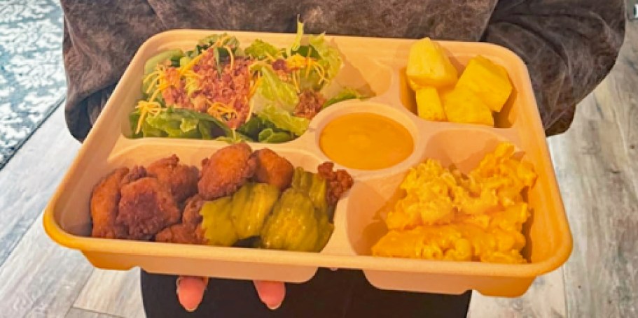 These 5 Compartment Compostable Paper Plates Are GENIUS!